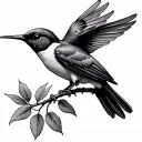 colibri gracefully perched tattoo design idea