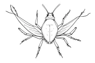cockroach tattoo design idea