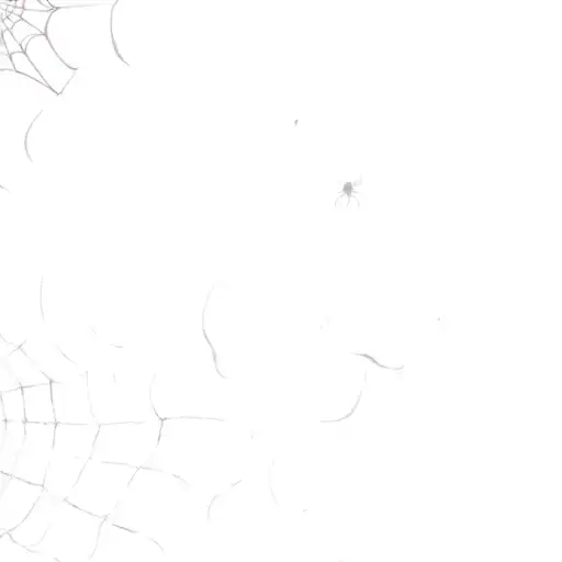 Coverup Spider Webs tattoo design idea