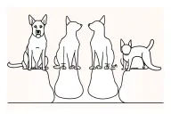 Simple line of 4 animals sitting side by side facing away from me; 2 dogs a German shepherd and a dachshund and 2 cats  tattoo design idea