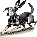 greyhound chasing a hare  tattoo design idea