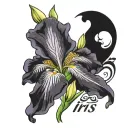 iris flower with name iris  tattoo design idea