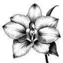 Cattleya tattoo design idea