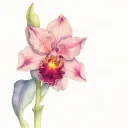 cattleya lotus delicate thin lines light tattoo design idea