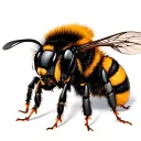 Bumble Bee tattoo design idea