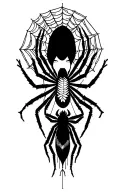 Blackwork Spider with spider webs surrounding feminine tattoo design idea