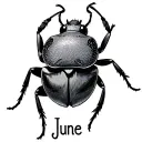 June bug with Isla June name incorporated tattoo design idea
