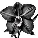 Cattleya Orchid tattoo design idea