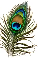 peacock feather tattoo design idea