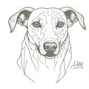 Greyhound tattoo design idea