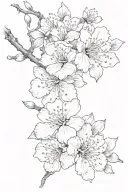 Sakura, which has already bloomed by half, and its other half has faded tattoo design idea