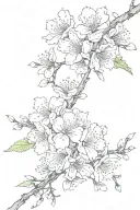 Sakura, which has already bloomed by half, and its other half has faded tattoo design idea