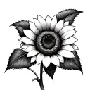 Black and white sunflower classic tattoo design idea