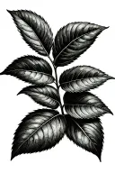coffee plant tattoo design idea
