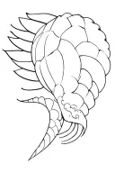 Pangolin tattoo design idea