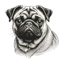 pug dog tattoo design idea