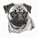 pug dog tattoo design idea