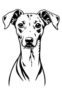 whippet dog tattoo design idea