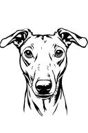 whippet dog tattoo design idea