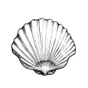 Scallop Shell tattoo design idea