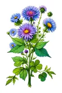 few stems with blue knapweed, chamomiles and clovers  tattoo design idea