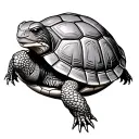 Box Turtle tattoo design idea