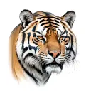 tiger going down tattoo design idea