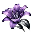 fine line a lily and a violet drawn side by side in one contiuous line tattoo design idea