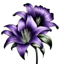 fine line a lily and a violet drawn side by side in one contiuous line tattoo design idea