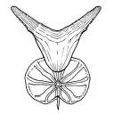 1 sharks tooth, scallop shell, and a sand dollar pattern  tattoo design idea