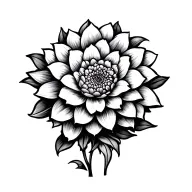 dahlia flower tattoo design idea