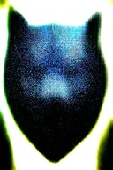 growling wolf face and realistic rocky mountains inside tattoo design idea