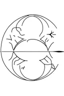 astrology moon aries sagittarius scorpio tattoo design idea