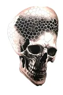 skull in honeycomb  tattoo design idea