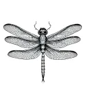 Dragonfly made tattoo design idea