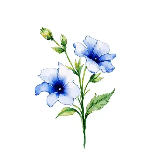 primrose, morning  glory, narcissus flower tattoo design idea