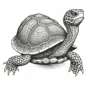 box turtle tattoo design idea