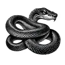Two Headed Snake tattoo design idea