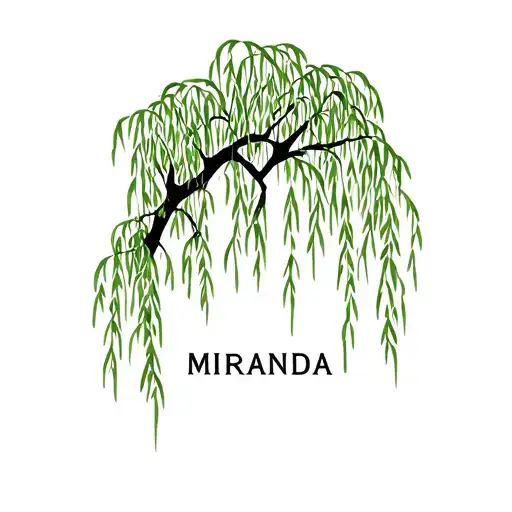 weeping willow tree with the name miranda tattoo design idea