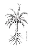 neuron palm tree tattoo design idea