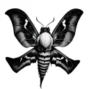 deaths head hawk moth tattoo design idea