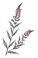 Fireweed tattoo design idea