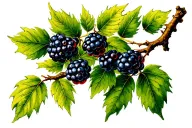 tree branch with blackberries intertwined tattoo design idea
