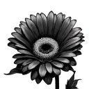 gerbera daisy flower tattoo design idea