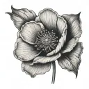 poppy seed sprouting tattoo design idea