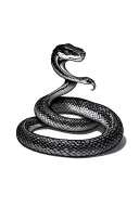 snakes tattoo design idea
