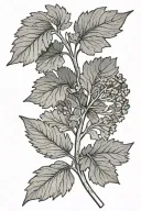 Parsley tattoo design idea