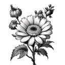 ever the same, larkspur, chrysanthemum, marigold  tattoo design idea