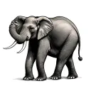 Elephant tattoo design idea