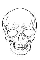 organic skull tattoo design idea